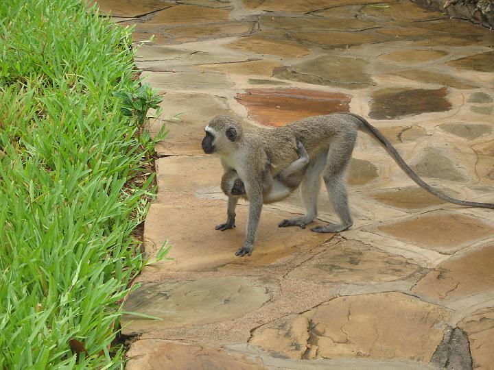 Kenya 121